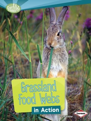 cover image of Grassland Food Webs in Action